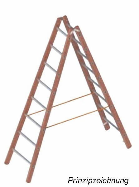 Layher Stehleiter Verbundleiter  Holz-Alu